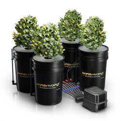 Mars Hydro DWC 4