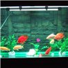 33 LED vodotěsné osvětlení pro akvária 59 cm
