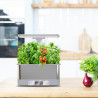 Bentech Smart Garden CM67 WiFi