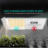 Mars Hydro TS600
