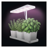 EMOS LED GROW 7 W