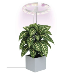 EMOS LED GROW 8W