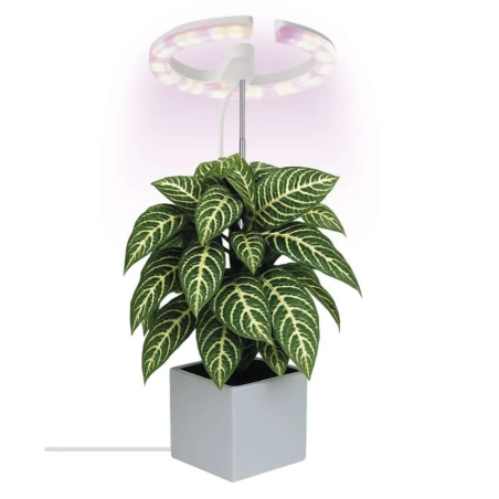 EMOS LED GROW 8W