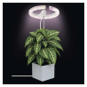EMOS LED GROW 8W