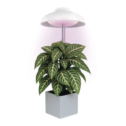 EMOS LED GROW lampa pro pěstování rostlin 5 W, časovač, bílá