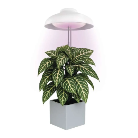 EMOS LED GROW lampa pro pěstování rostlin 5 W, časovač, bílá