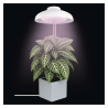 EMOS LED GROW lampa pro pěstování rostlin 5 W, časovač, bílá
