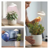 EMOS LED GROW lampa pro pěstování rostlin 5 W, časovač, bílá