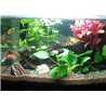 27 LED vodotěsné osvětlení pro akvária 49 cm