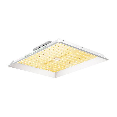 Mars Hydro TS1000 Quantum Board - svítidlo pro pěstování rostlin