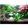 42 LED vodotěsné osvětlení pro akvária 78 cm