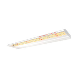 LED světlo pro pěstování Spider Farmer SF300