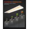 LED světlo pro pěstování Spider Farmer SF300