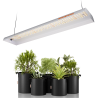 LED světlo pro pěstování Spider Farmer SF300