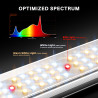 LED světlo pro pěstování Spider Farmer SE3000