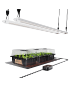 Microgreens